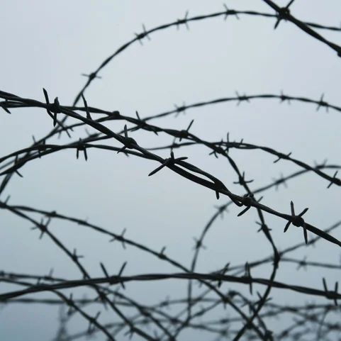 Колючая проволока К-А 08кп ГОСТ 285-69