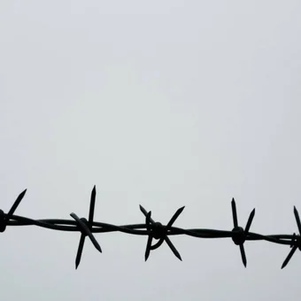 Колючая проволока