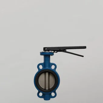 Затвор чугунный